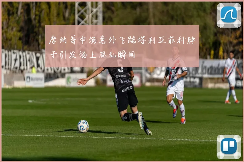 摩纳哥中场意外飞踹塔利亚菲科脖子引发场上混乱瞬间