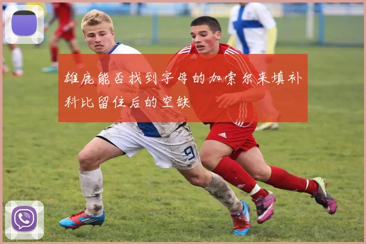 雄鹿能否找到字母的加索尔来填补科比留住后的空缺