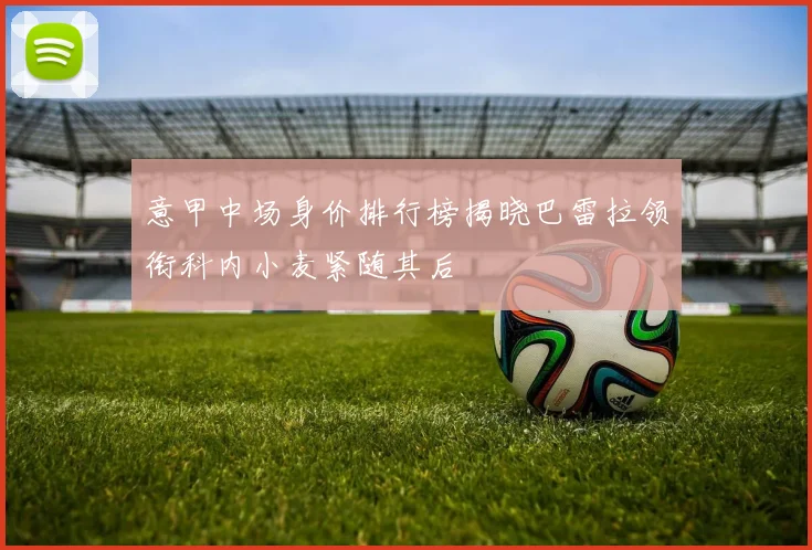 意甲中场身价排行榜揭晓巴雷拉领衔科内小麦紧随其后