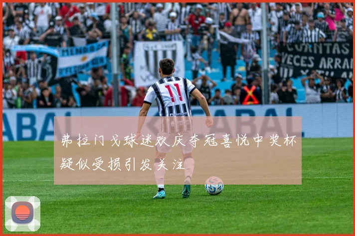 弗拉门戈球迷欢庆夺冠喜悦中奖杯疑似受损引发关注