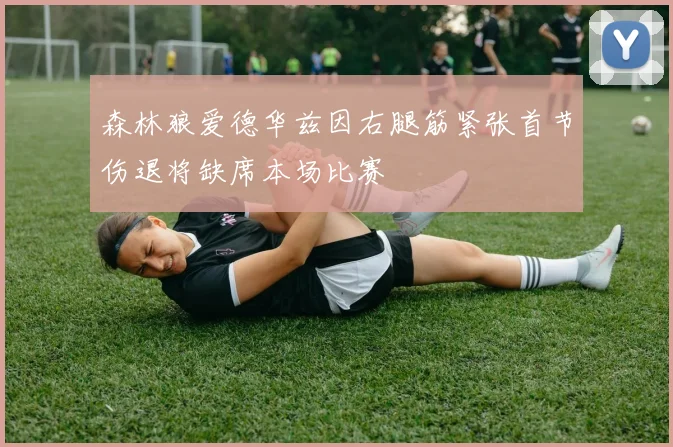 森林狼爱德华兹因右腿筋紧张首节伤退将缺席本场比赛