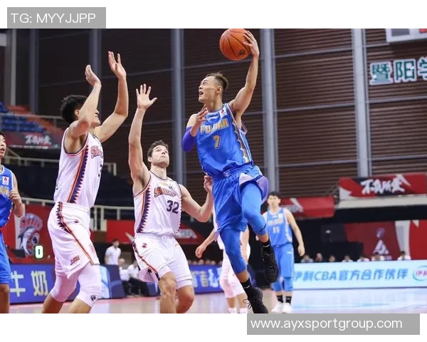 上海玄天鸟新赛季球员名单曝光汤杰等CBA旧将加盟赖益烨在列